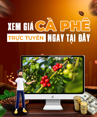 Banner xem giá cà phê trực tuyến 