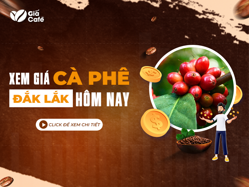 gi&aacute; c&agrave; ph&ecirc; h&ocirc;m nay đắk lắk
