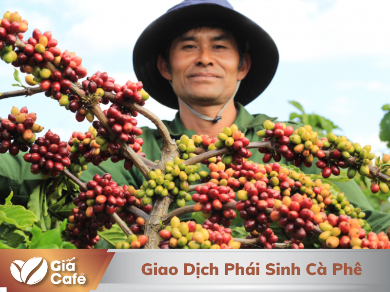 Giao dịch phái sinh cà phê