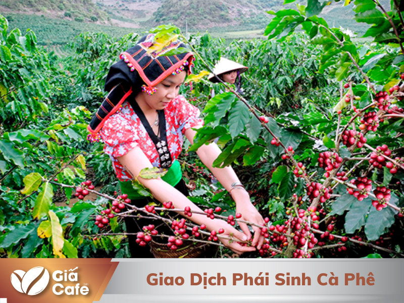 Giao dịch phái sinh cà phê