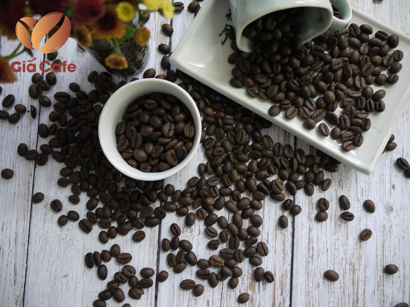 Kinh nghiệm đầu tư c&agrave; ph&ecirc; ph&aacute;i sinh