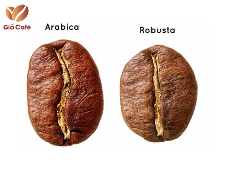 M&atilde; giao dịch c&agrave; ph&ecirc; Arabica v&agrave; Robusta