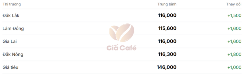 Gi&aacute; c&agrave; ph&ecirc; trong nước 16/1/2025