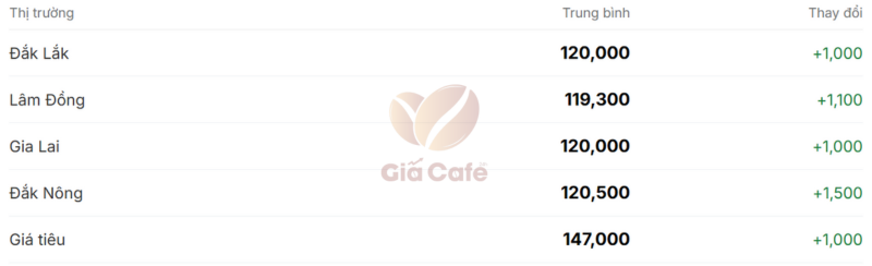 Giá cà phê trong nước 21/1/2025