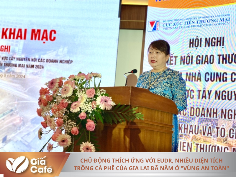 B&agrave; Đ&agrave;o Thị Thu Nguyệt - Ph&oacute; Gi&aacute;m đốc Sở C&ocirc;ng Thương tỉnh Gia Lai