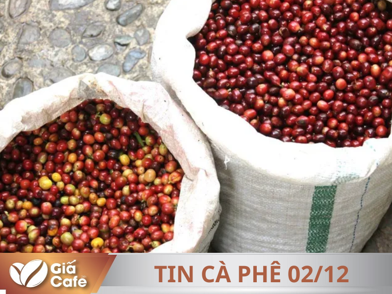 Tin c&agrave; ph&ecirc;
