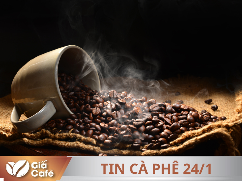 Tin c&agrave; ph&ecirc; 24/1/2025