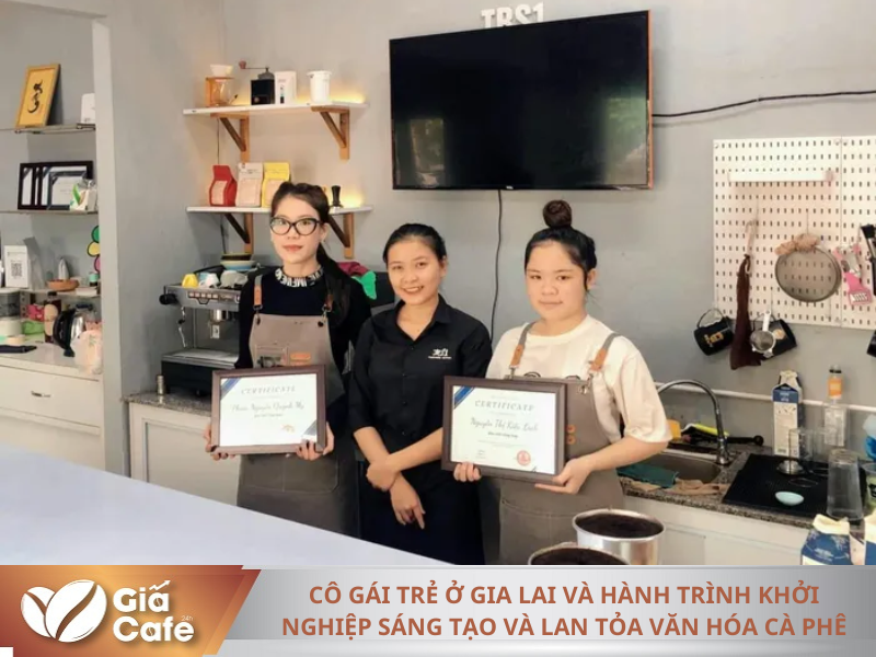 Các giấy chứng nhận của chị Tâm
