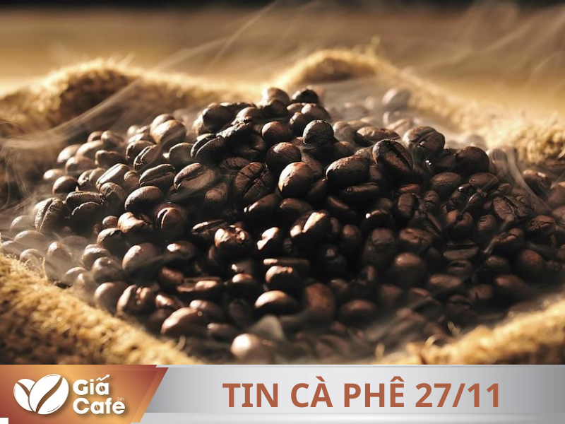 Tin c&agrave; ph&ecirc;