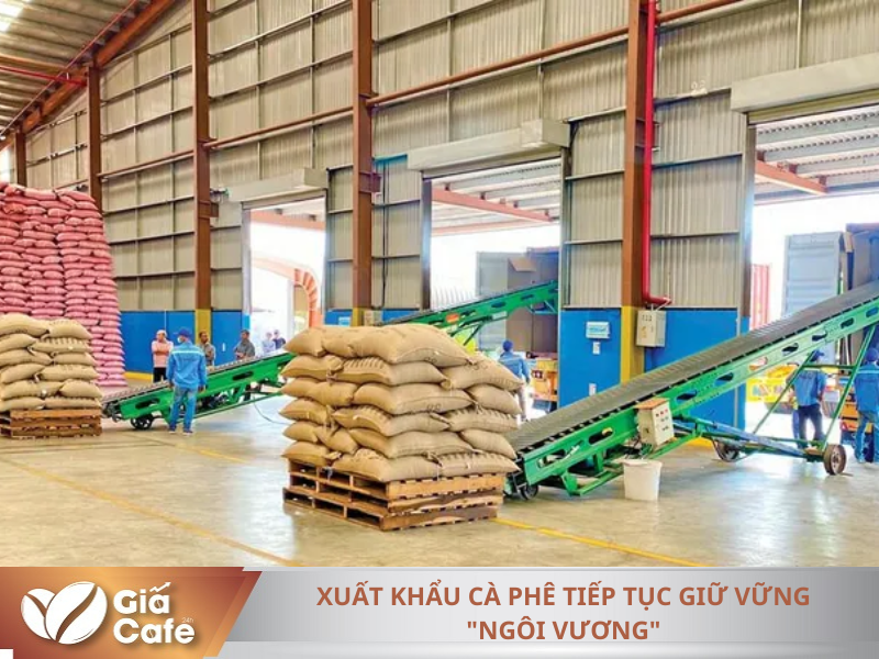 C&ocirc;ng ty TNHH Vĩnh Hiệp (TP. Pleiku) l&agrave; doanh nghiệp đứng đầu cả nước về xuất khẩu c&agrave; ph&ecirc; trong ni&ecirc;n vụ 2023 - 2024