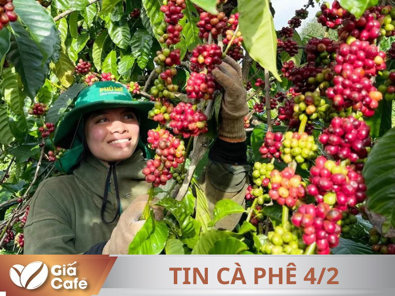 Tin c&agrave; ph&ecirc; 4/2/2025