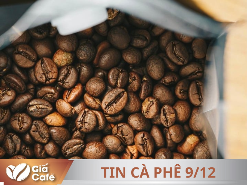 Tin c&agrave; ph&ecirc;