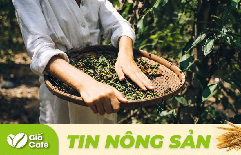 gi&aacute; ti&ecirc;u trong nước 