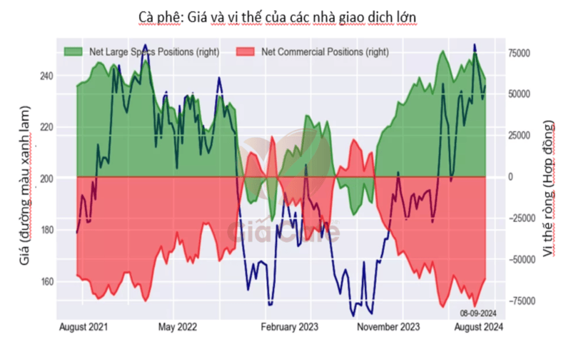 phân tích giá vị thế giao dịch cà phê