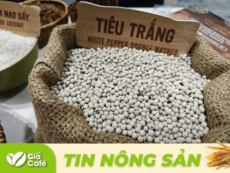 Việc tận dụng tốt c&aacute;c cơ hội v&agrave; vượt qua kh&oacute; khăn sẽ quyết định sự ph&aacute;t triển của ng&agrave;nh ti&ecirc;u Việt Nam trong thời gian tới.