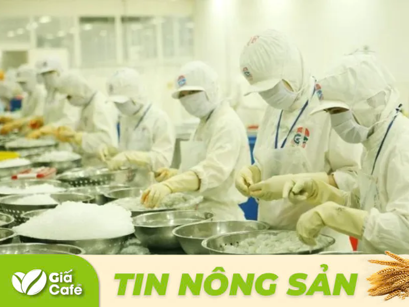 Thủy sản l&agrave; một trong những mặt h&agrave;ng c&ograve;n nhiều cơ hội xuất khẩu sang c&aacute;c thị trường chủ lực như Mỹ, Trung Quốc v&agrave; Nhật Bản