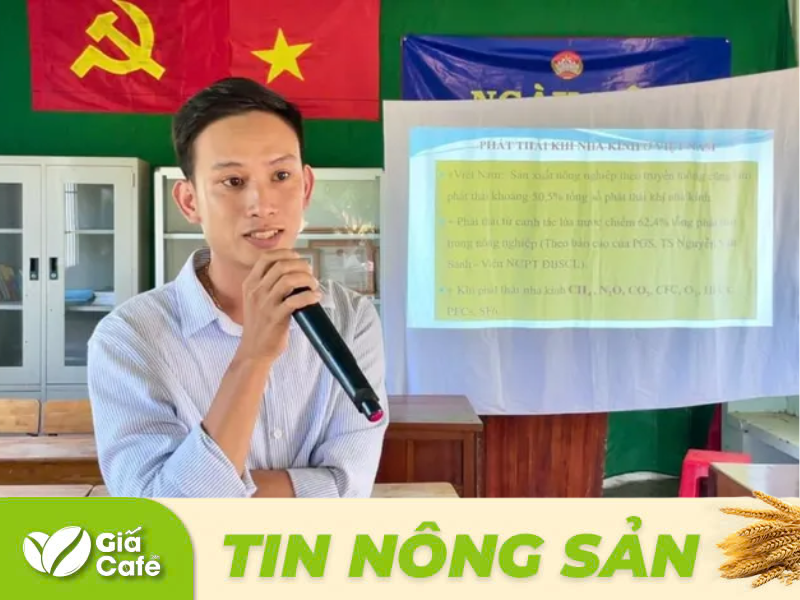 Triển khai m&ocirc; h&igrave;nh điểm thực hiện đề &aacute;n 1 triệu h&eacute;cta chuy&ecirc;n canh l&uacute;a chất lượng cao v&agrave; ph&aacute;t thải thấp