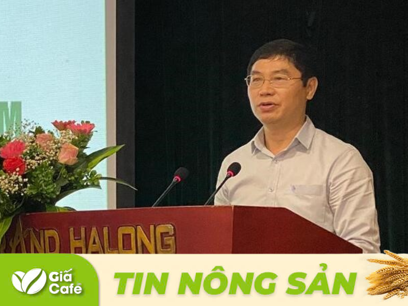 Theo &ocirc;ng Dương việc hướng dẫn trực tiếp của nh&oacute;m đối t&aacute;c c&ocirc;ng tư cho n&ocirc;ng d&acirc;n ngay tr&ecirc;n vườn c&acirc;y l&agrave; điều cần thiết, mang t&iacute;nh quyết định để hồ ti&ecirc;u, gia vị v&agrave;o thị trường Halal