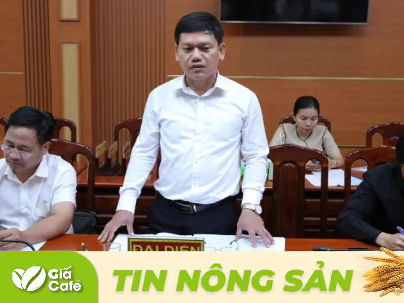 C&aacute;c đơn vị, doanh nghiệp, hợp t&aacute;c x&atilde; trao đổi thảo luận tại hội thảo