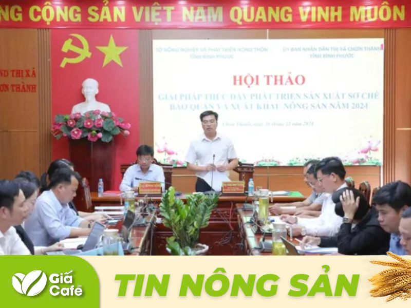 Ph&oacute; Gi&aacute;m đốc Sở N&ocirc;ng nghiệp v&agrave; Ph&aacute;t triển n&ocirc;ng th&ocirc;n Ho&agrave;ng Mạnh Thường ph&aacute;t biểu tại hội thảo