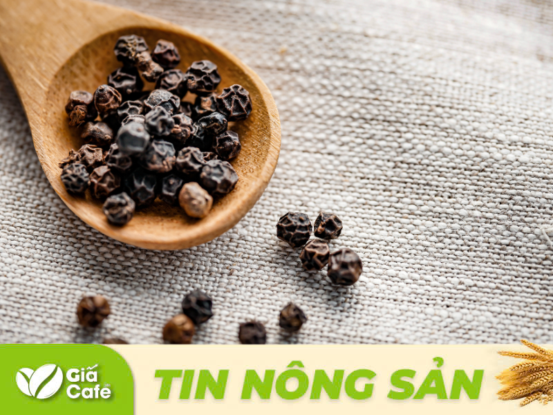 thị trường hồ ti&ecirc;u thế giới lại ghi nhận c&oacute; sự biến động tr&aacute;i chiều.