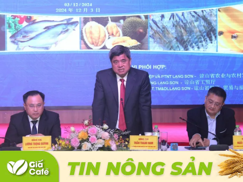 Thứ trưởng Trần Thanh Nam (giữa) ph&aacute;t biểu, trao đổi một số vấn đề m&agrave; doanh nghiệp hai nước Việt Nam, Trung Quốc quan t&acirc;m