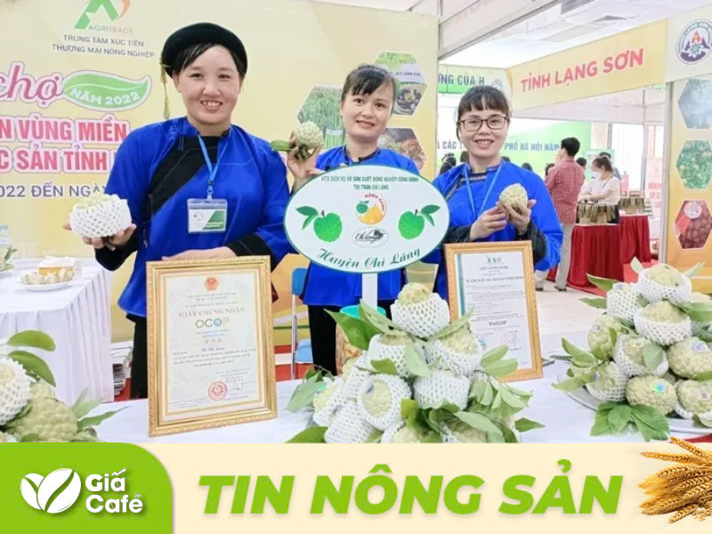 Đặc sản na Lạng Sơn được trưng b&agrave;y tại diễn đ&agrave;n