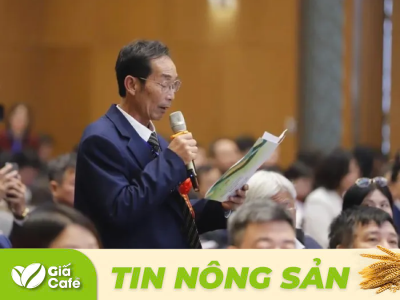 &Ocirc;ng Nguyễn Xu&acirc;n Thao, Gi&aacute;m đốc Hợp t&aacute;c x&atilde; C&agrave; ph&ecirc; B&iacute;ch Thao tại x&atilde; Hua La, th&agrave;nh phố Sơn La, tỉnh Sơn La đưa ra kiến nghị