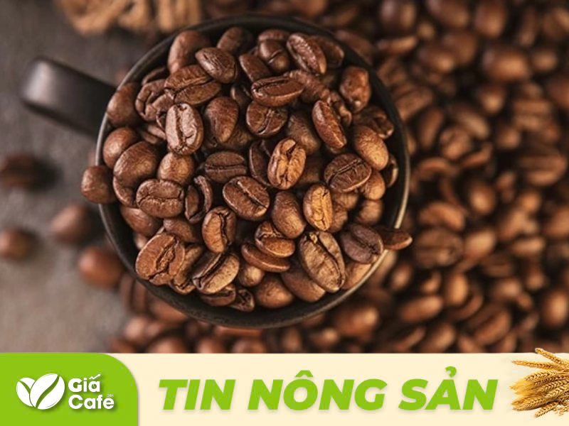 Thị trường c&agrave; ph&ecirc; trước giờ mở cửa 4/12/2024