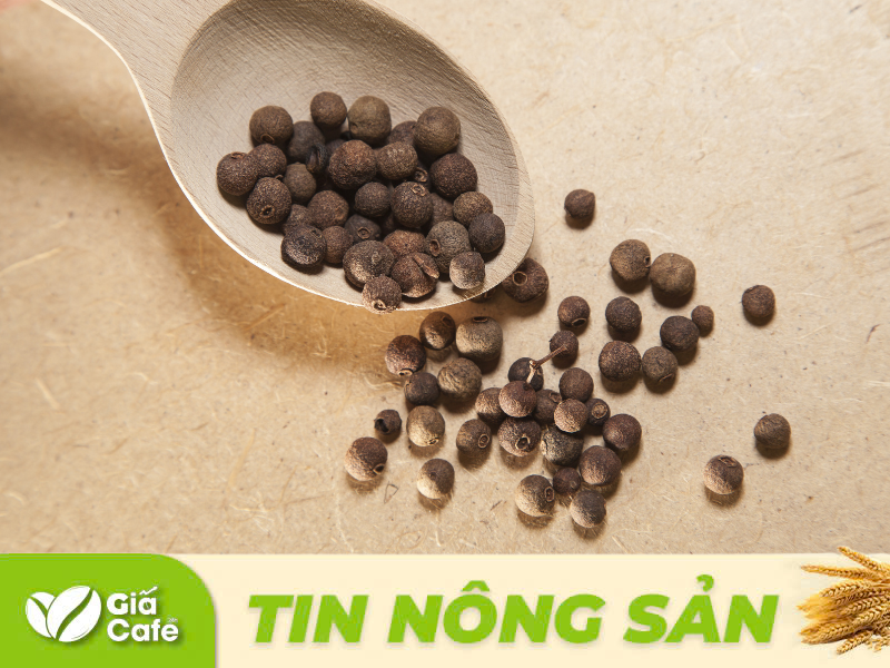 Theo dự b&aacute;o, vụ thu hoạch năm sau tại Việt Nam sẽ bị chậm từ 1,5 đến 2 th&aacute;ng so với thường lệ. 