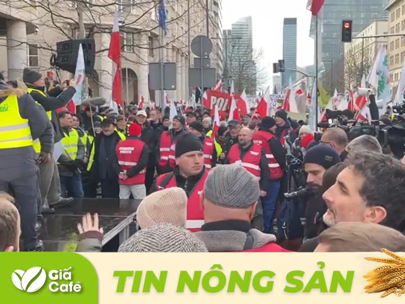 N&ocirc;ng d&acirc;n Ba Lan biểu t&igrave;nh phản đối nhập khẩu n&ocirc;ng sản từ Ukraine