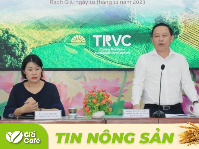 8 doanh nghiệp gạo tại Việt Nam được thưởng vì giảm phát thải