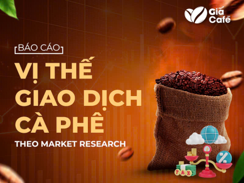 Báo cáo vị thế giao dịch cà phê 18/11/2024