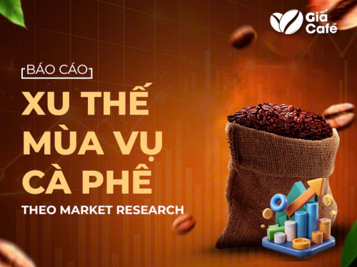 Báo cáo xu thế mùa vụ cà phê 18/11/2024