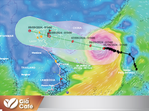 Góc nhìn chuyên gia 18/9/2024: Liệu Khô Hạn Brazil và Biến Động Tồn Kho Có Đẩy Giá Cà Phê Tăng Cao Hơn Nữa?