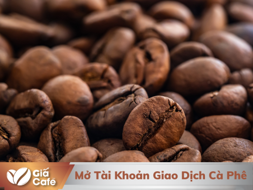 Cẩm Nang Mở Tài Khoản Giao Dịch Cà Phê