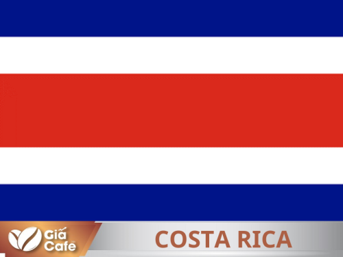 Xuất khẩu cà phê của Costa Rica và Indonesia tăng trưởng mạnh trong tháng 8, tồn kho cà phê Robusta và Arabica giảm